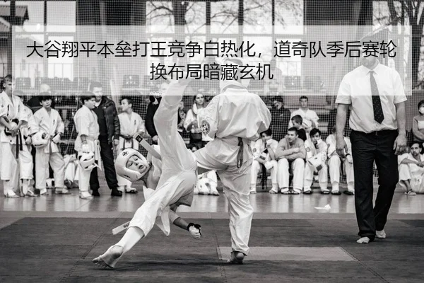 da-gu-xiang-ping-ben-lei-da-wang-jing-zheng-bai-re-hua-dao-qi-dui-ji-hou-sai-lun-huan-bu-ju-an-cang-xuan-ji-2-194.jpg